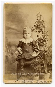 Image description is not available for PHO-264-930